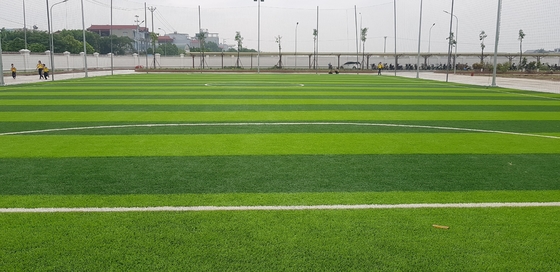 चीन फुटबॉल मैदान के लिए 70 मिमी घास कालीन सिंथेटिक घास कृत्रिम घास आपूर्तिकर्ता