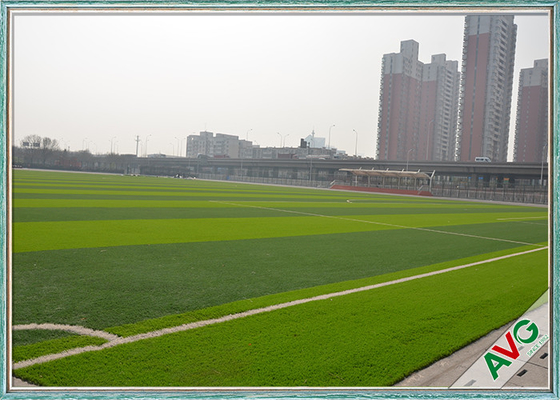 चीन उच्च घनत्व इंडोर / आउटडोर सॉकर फुटबॉल फील्ड कृत्रिम घास कालीन आपूर्तिकर्ता