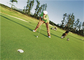 गोल्फ के लिए घुंघराले उच्च घनत्व कृत्रिम घास हरा, गोल्फ नकली घास डालना आपूर्तिकर्ता