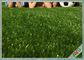 इंडोर सिंथेटिक पालतू कृत्रिम टर्फ, आउटडोर कालीन घास का मैदान हरा / सेब हरा; आपूर्तिकर्ता